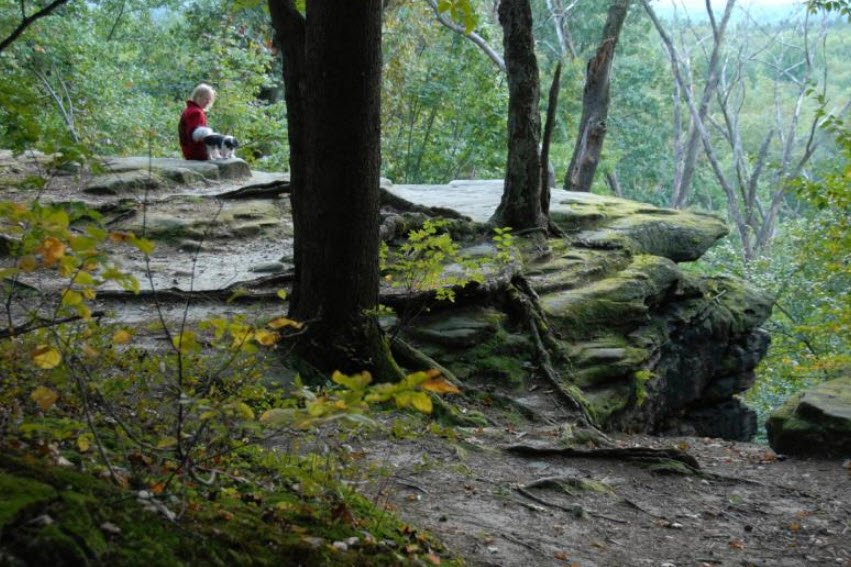 Tinkers Creek State Nature Preserve, Ohio, USA